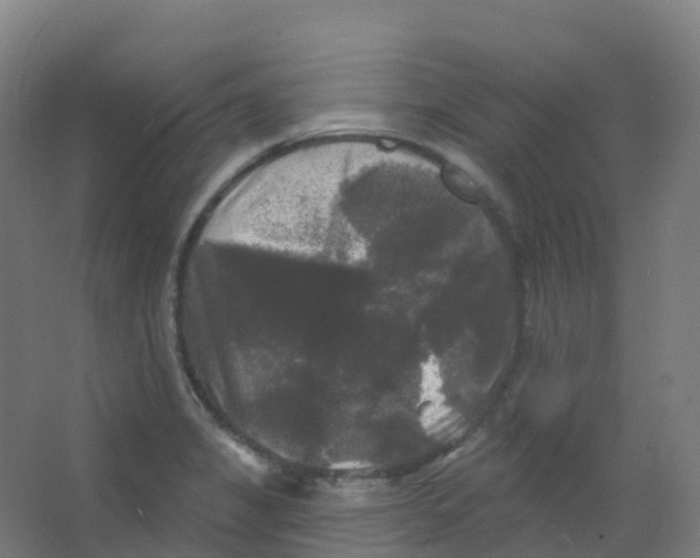 X0000066931325200604141948