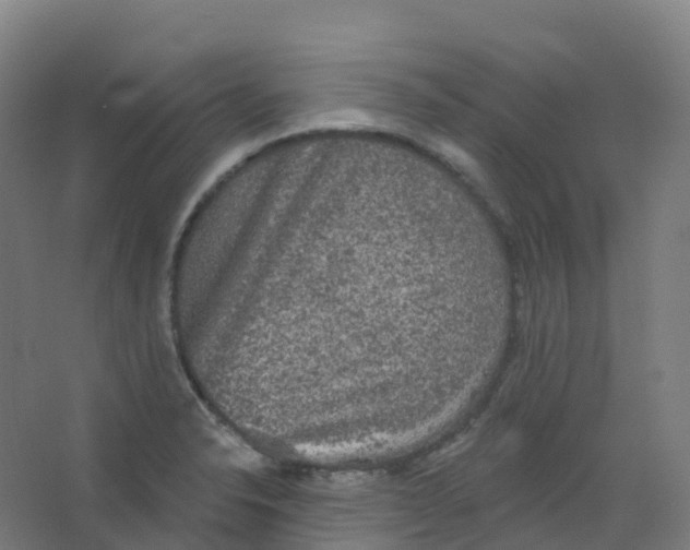 X0000066931326200604141948