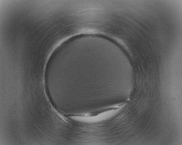 X0000066931327200604141948