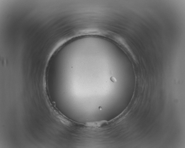 X0000066931328200604141948