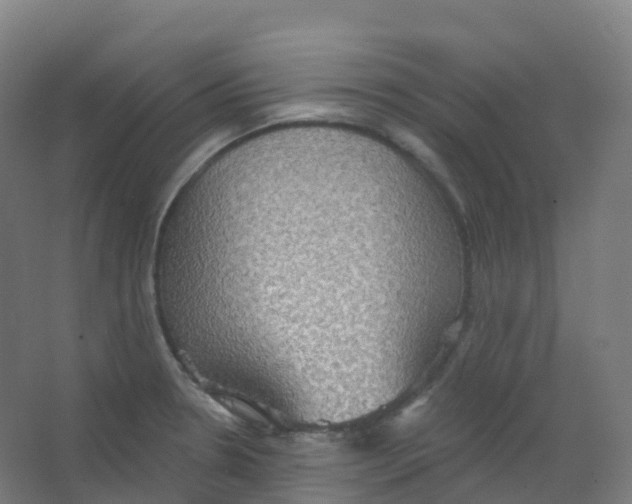 X0000066931330200604141948