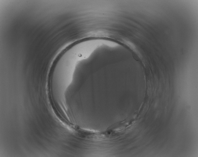 X0000066931331200604141948