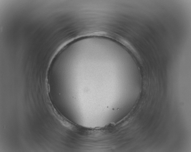 X0000066931332200604141948