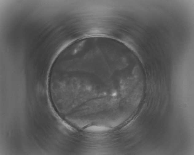 X0000066931333200604141948