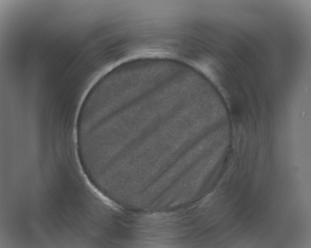 X0000066931335200604141948