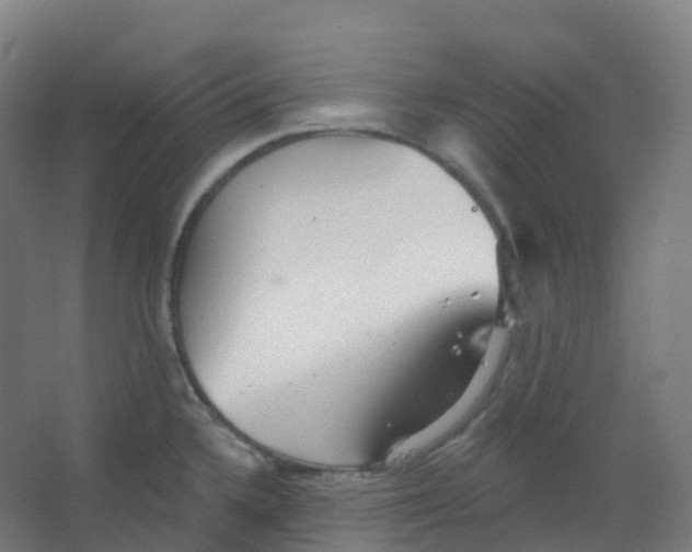 X0000066931336200604141948