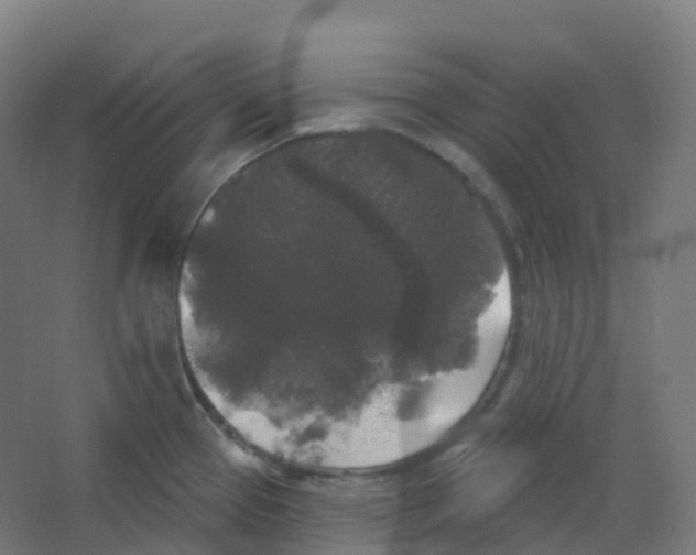 X0000066931337200604141948