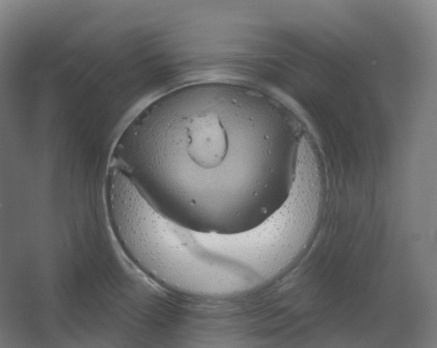 X0000066931338200604141948