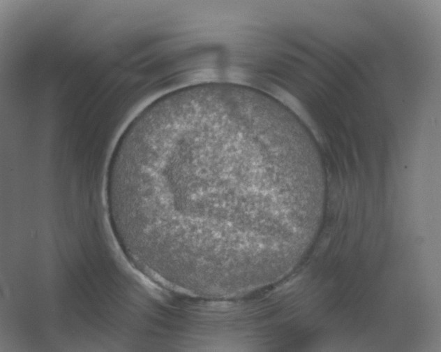 X0000066931339200604141948