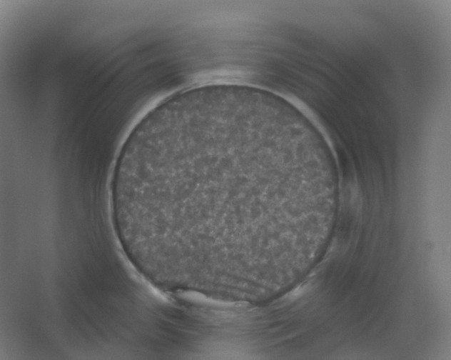 X0000066931341200604141948