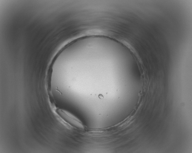 X0000066931342200604141948