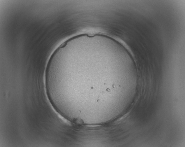 X0000066931343200604141948