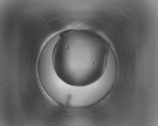 X0000066931344200604141948