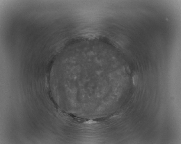 X0000066931347200604141947