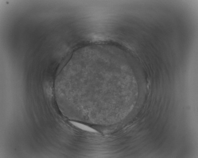 X0000066931348200604141947