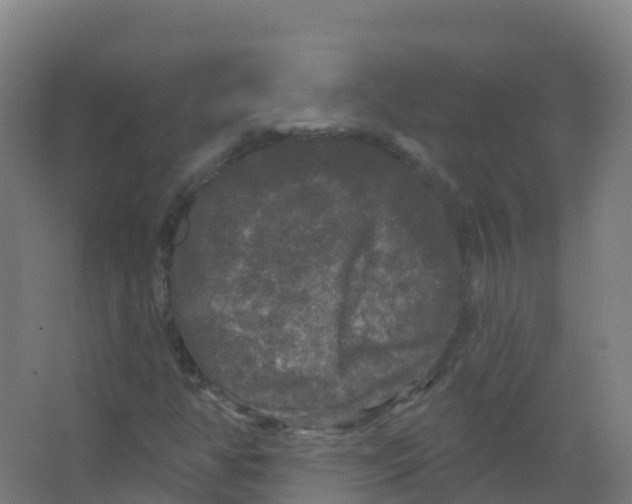 X0000066931350200604141947