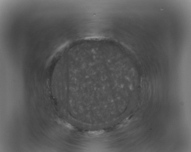 X0000066931351200604141947