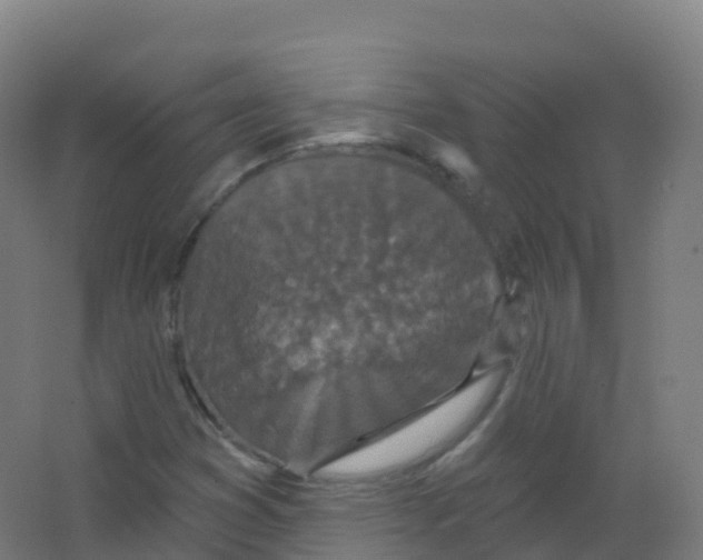 X0000066931353200604141947