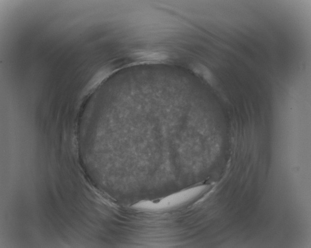 X0000066931354200604141947