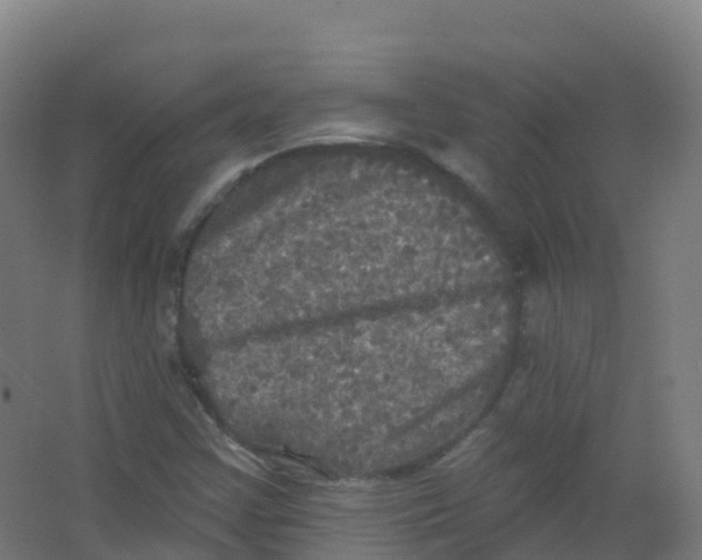 X0000066931355200604141947