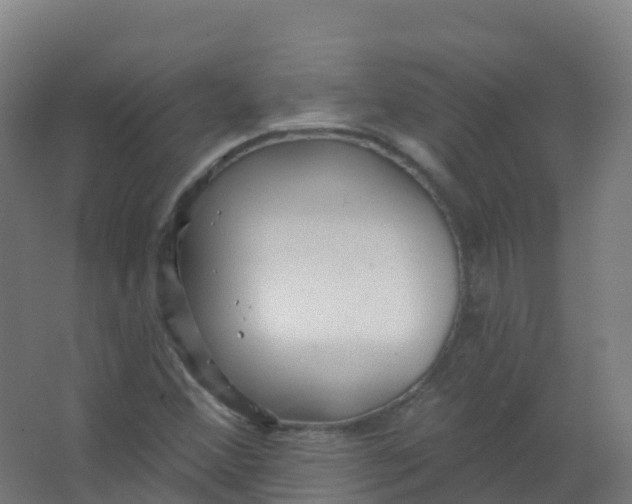 X0000066931356200604141947