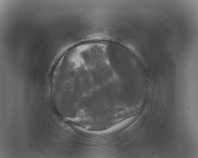 X0000066931358200604141947