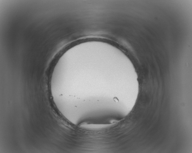 X0000066931360200604141947