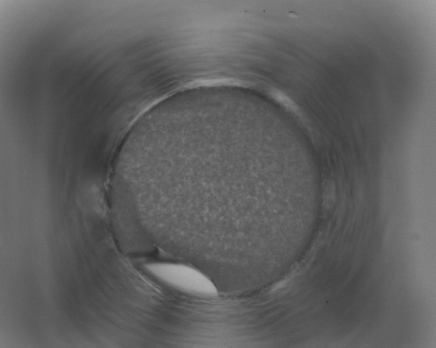 X0000066931361200604141947