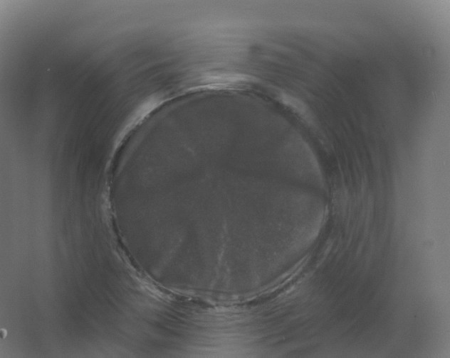 X0000066931362200604141947