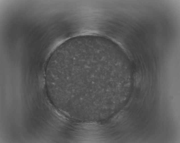 X0000066931363200604141947