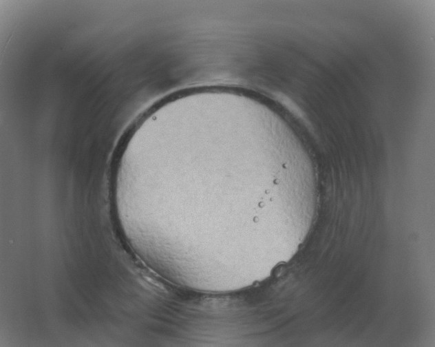 X0000066931364200604141947