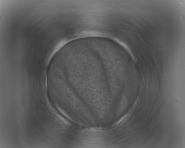 X0000066931365200604141947