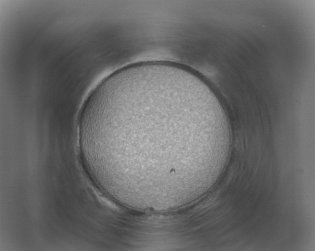 X0000066931366200604141947