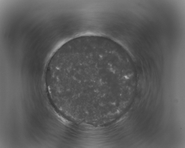 X0000066931367200604141947