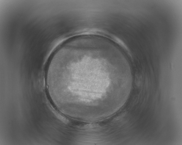 X0000066931368200604141947