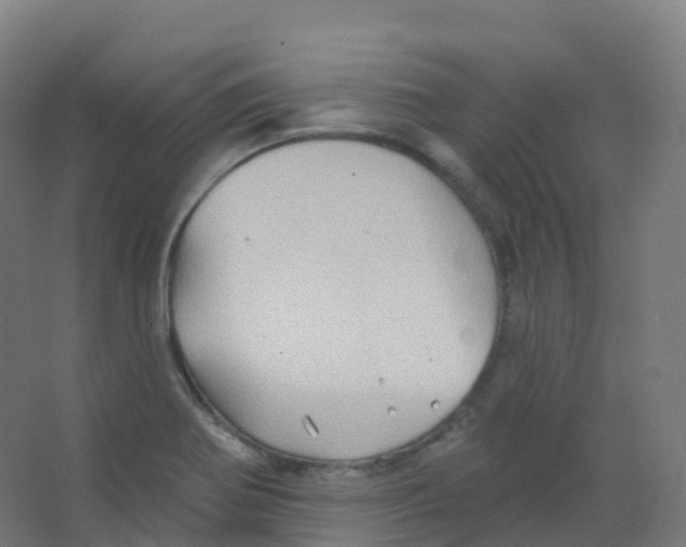 X0000066931370200604141947