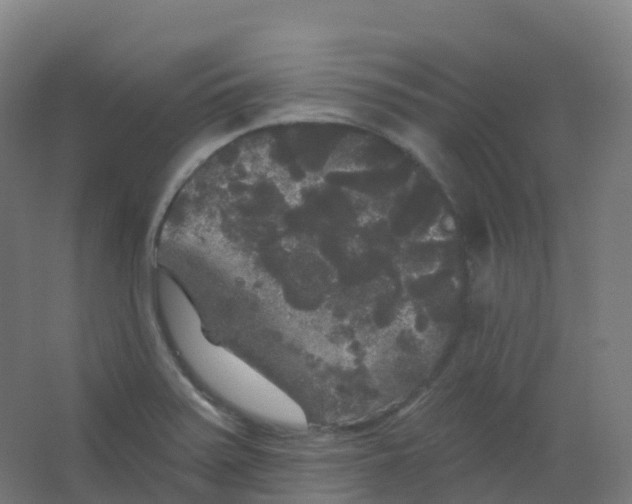 X0000066931371200604141947