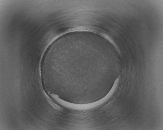 X0000066931372200604141947