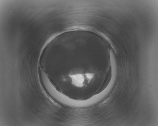 X0000066931373200604141947