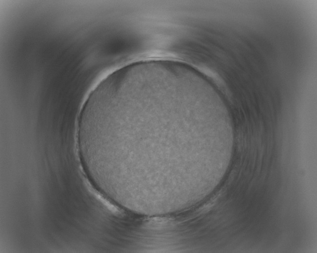 X0000066931374200604141947