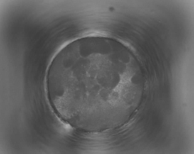 X0000066931375200604141947