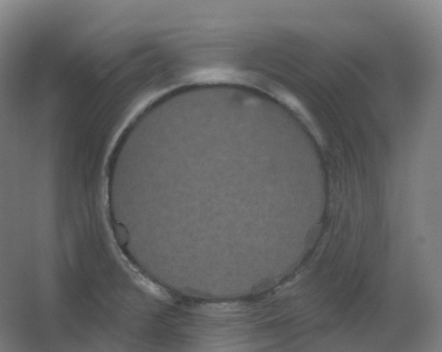 X0000066931376200604141947