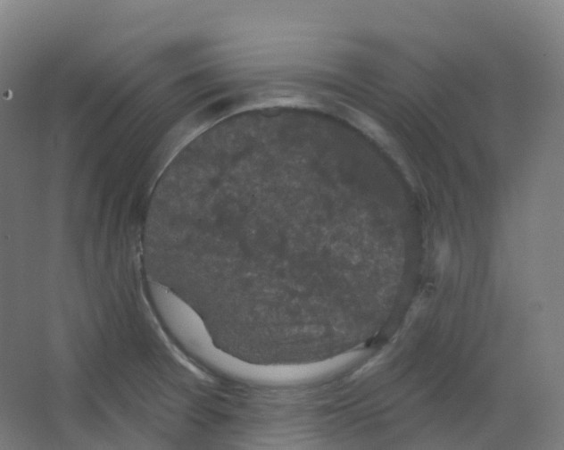 X0000066931377200604141947