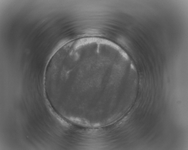 X0000066931378200604141947