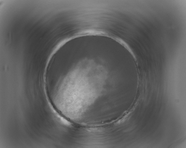 X0000066931381200604141947