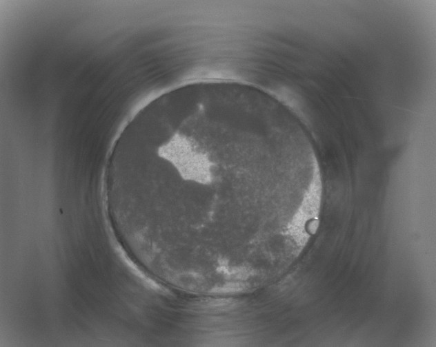 X0000066931382200604141946