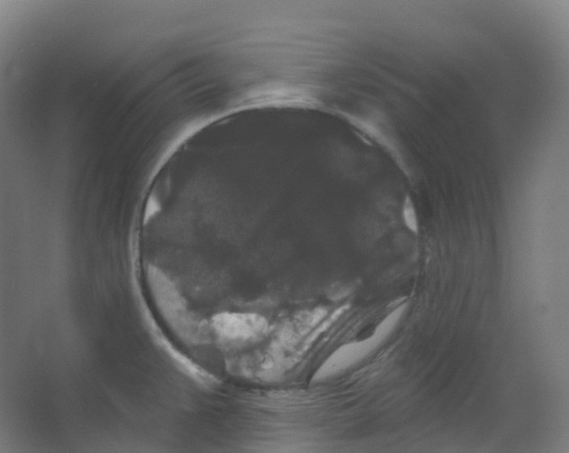 X0000066931383200604141946