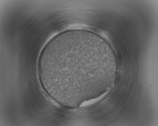 X0000066931384200604141946