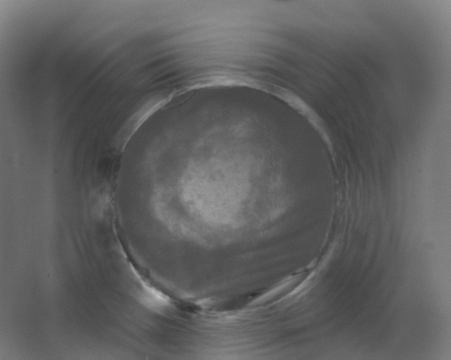 X0000066931385200604141946