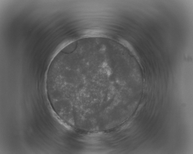 X0000066931386200604141946